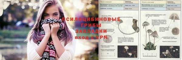 мет Медвежьегорск