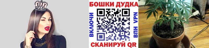 Купить где  Сибай  Канабис MAZAR 